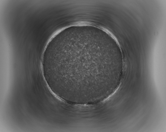 X0000116561429200912171400