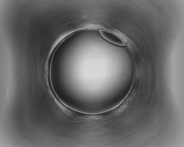 X0000116561430200912171400