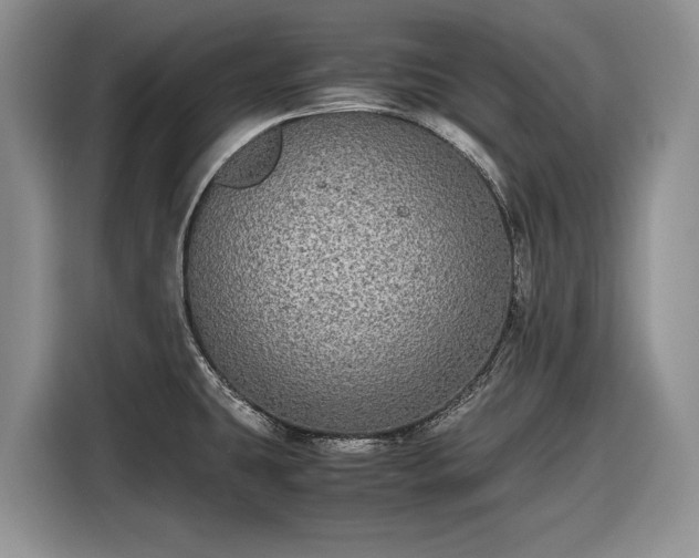 X0000116561431200912171400