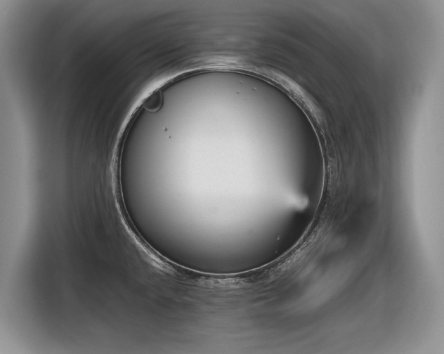 X0000116561432200912171400