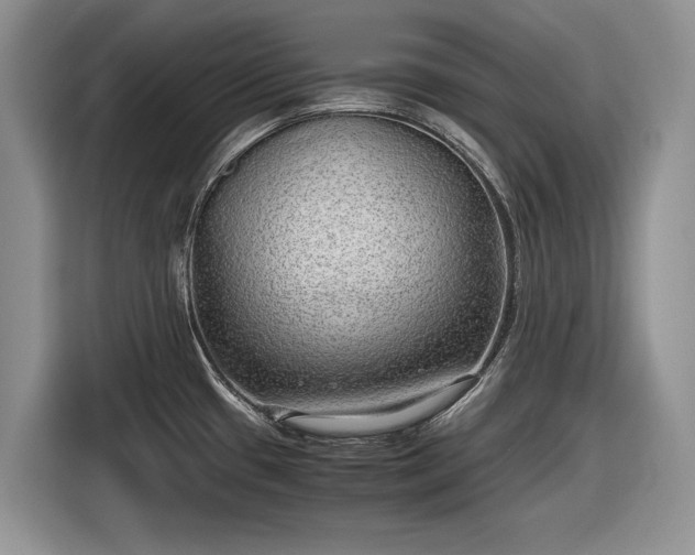 X0000116561433200912171400