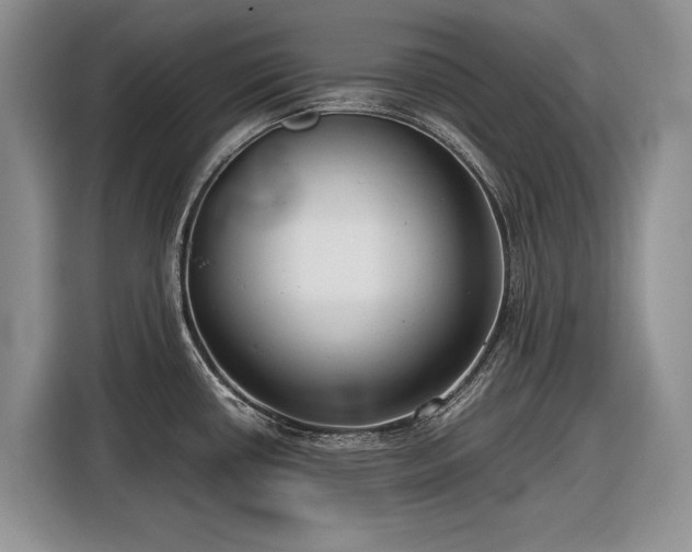 X0000116561434200912171400