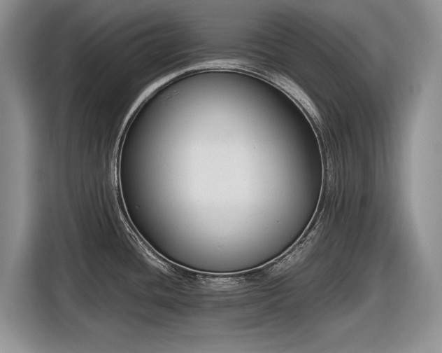 X0000116561436200912171400