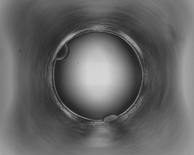 X0000116561437200912171400