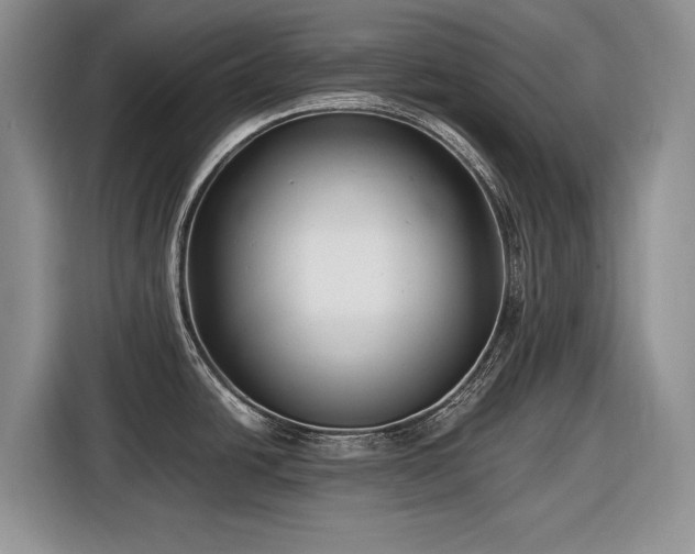 X0000116561438200912171400