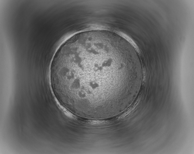 X0000116561439200912171400