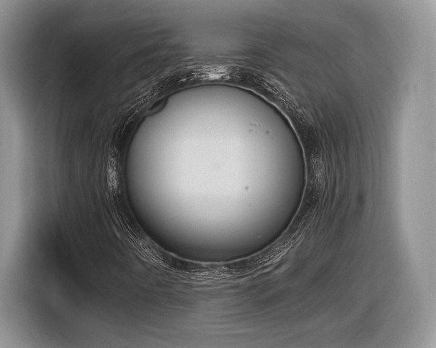 X0000116561442200912171400