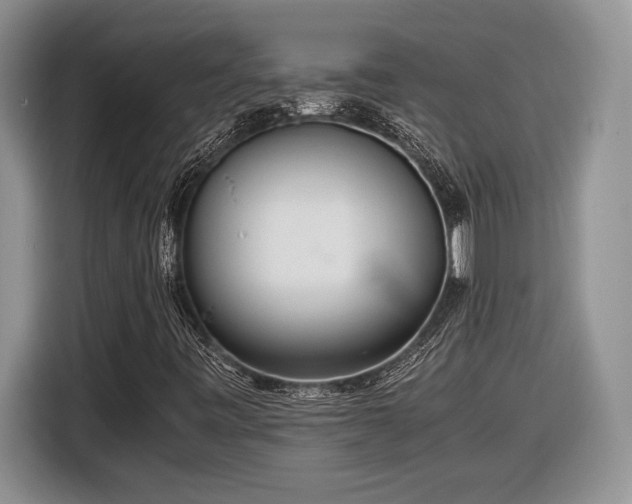 X0000116561443200912171400