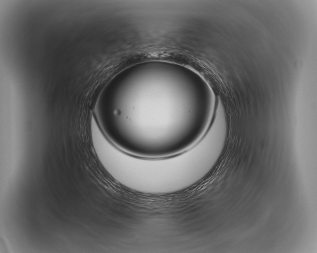 X0000116561444200912171400