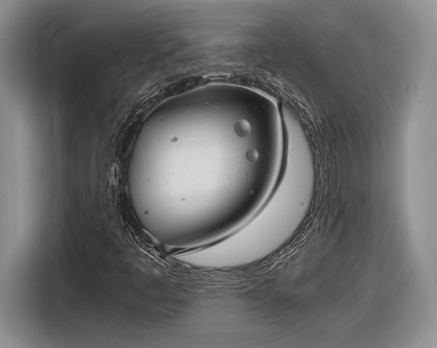 X0000116561445200912171400