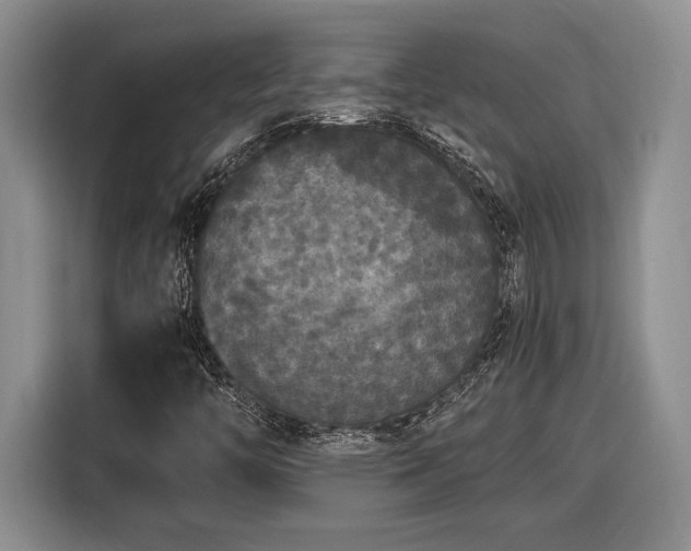 X0000116561446200912171400