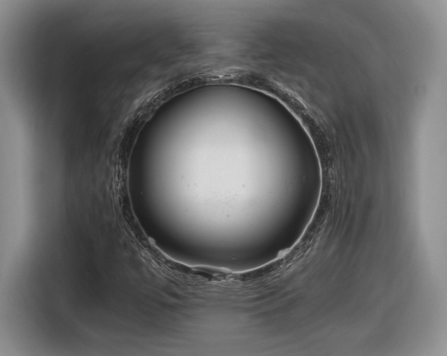 X0000116561447200912171400