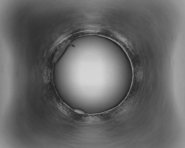 X0000116561448200912171359