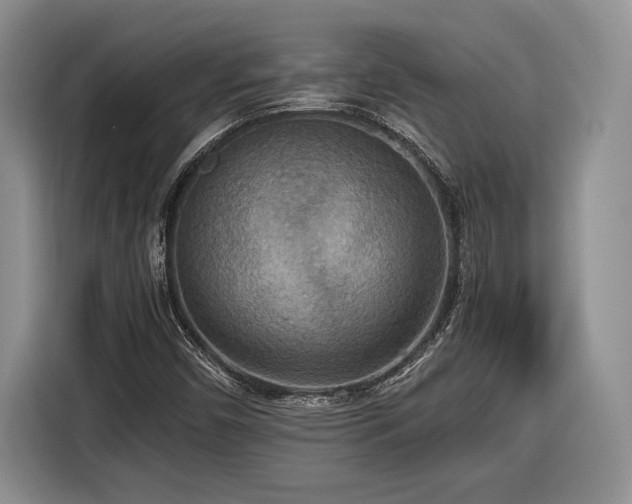 X0000116561450200912171359