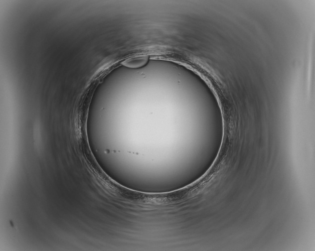 X0000116561451200912171359