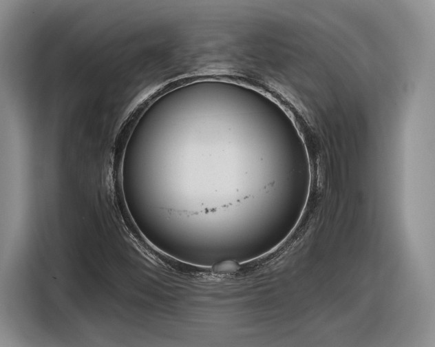 X0000116561452200912171359