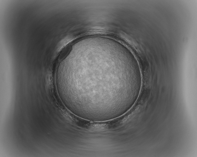 X0000116561453200912171359