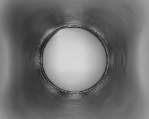 X0000116561454200912171359