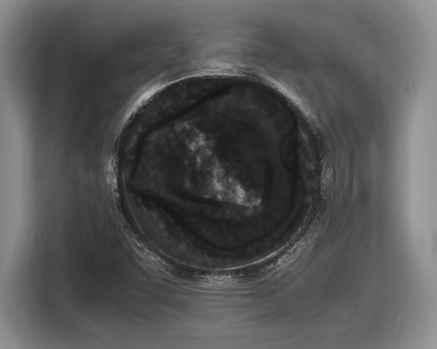 X0000116561455200912171359