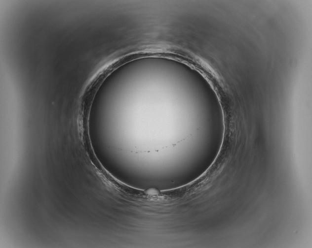 X0000116561456200912171359