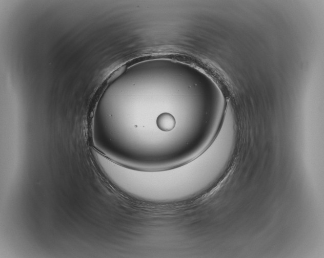 X0000116561457200912171359