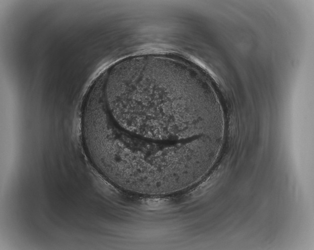 X0000116561459200912171359