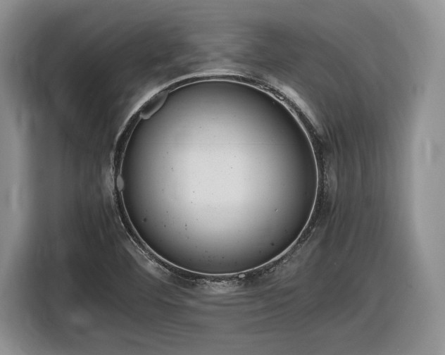 X0000116561460200912171359