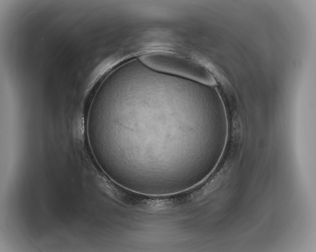 X0000116561461200912171359