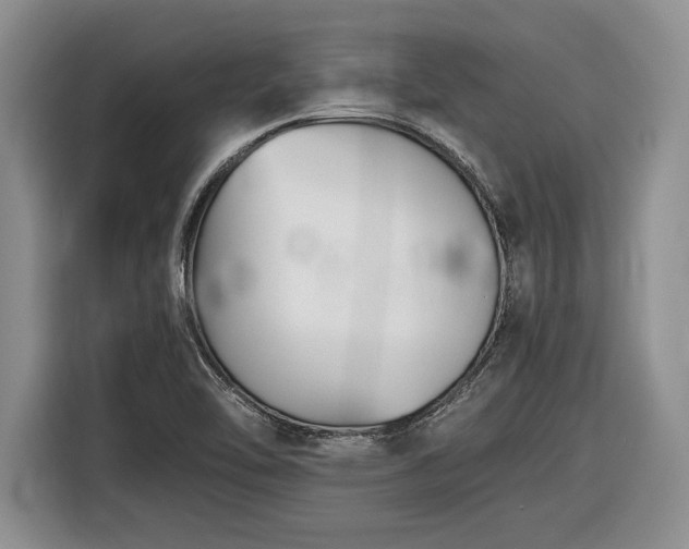 X0000116561462200912171359