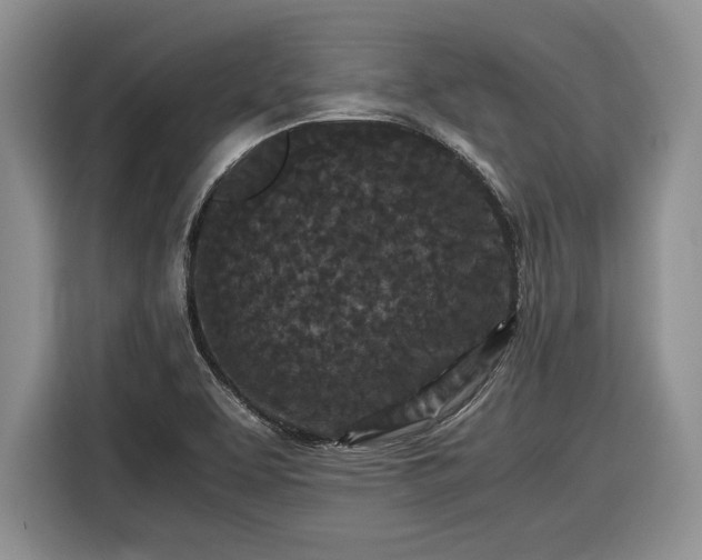 X0000116561463200912171359