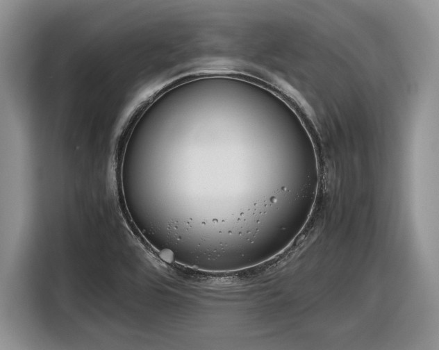 X0000116561464200912171359