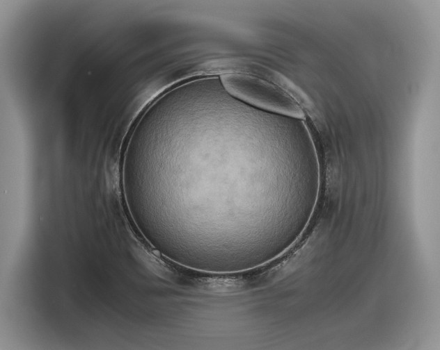 X0000116561465200912171359