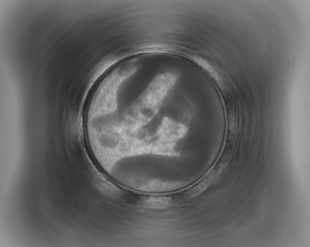 X0000116561466200912171359