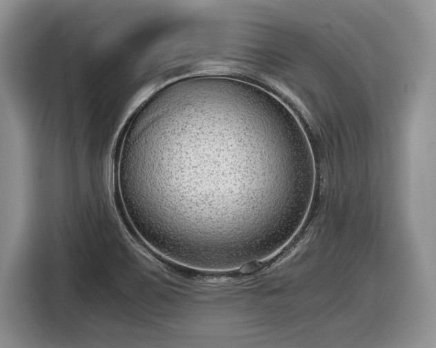 X0000116561467200912171359