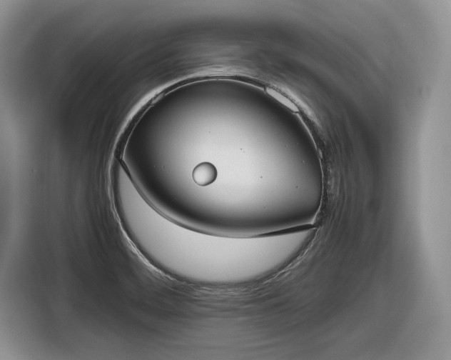 X0000116561468200912171359