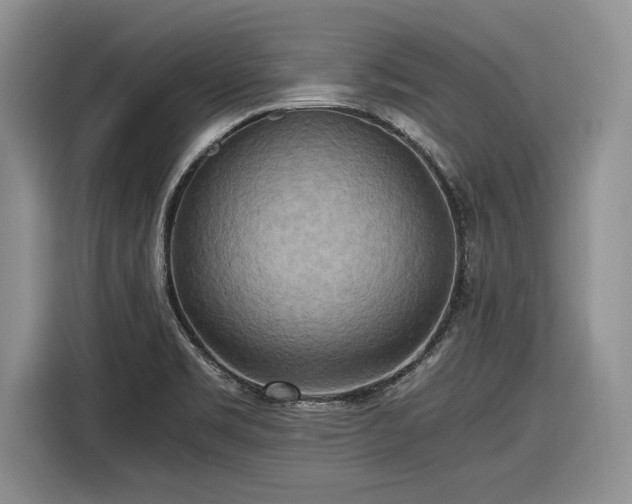 X0000116561469200912171359