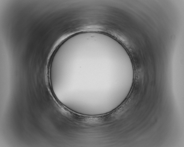 X0000116561470200912171359