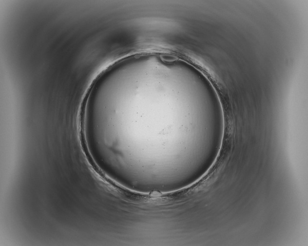 X0000116561471200912171359