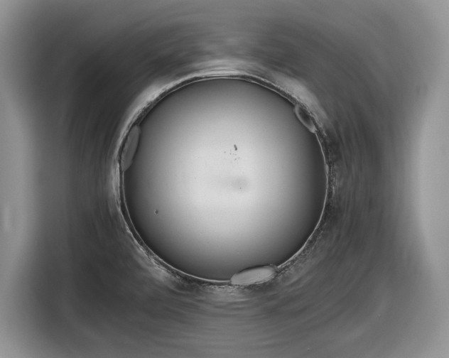 X0000116561472200912171359