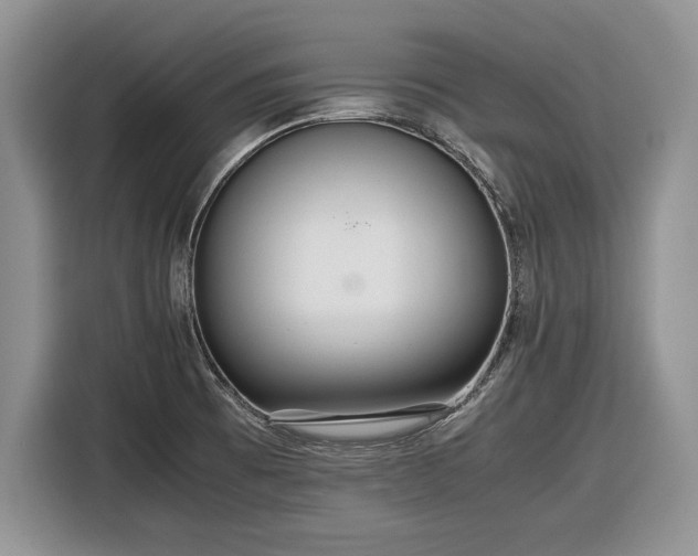 X0000116561473200912171359