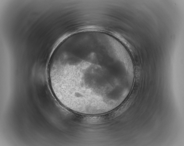 X0000116561474200912171359