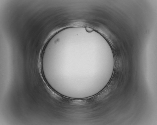 X0000116561478200912171359