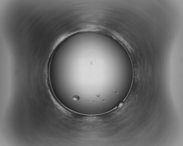 X0000116561479200912171359