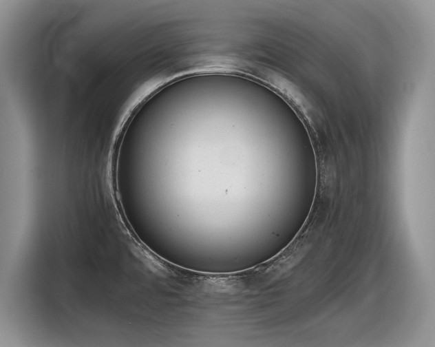 X0000116561480200912171359