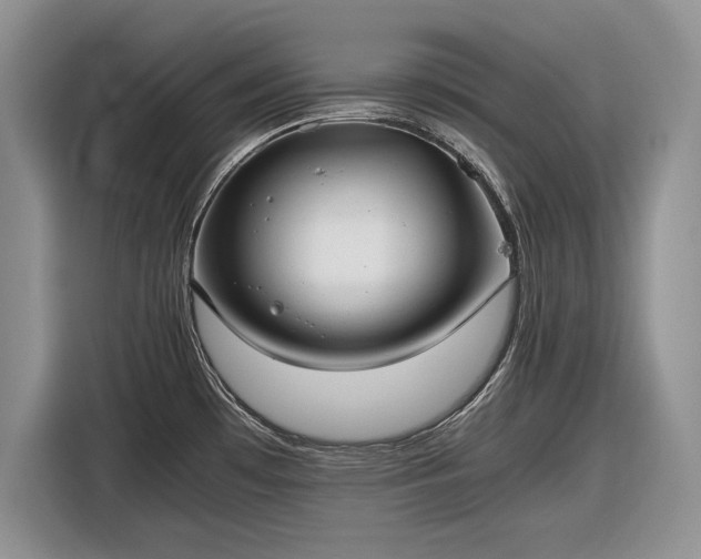 X0000116561481200912171359