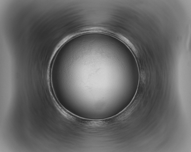 X0000116561482200912171359