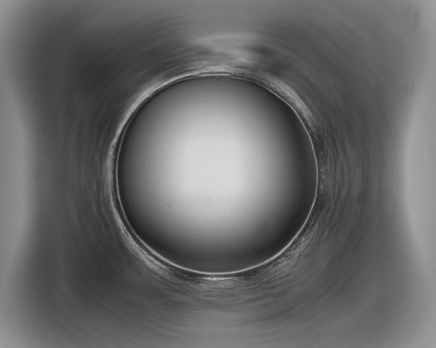 X0000116561483200912171359