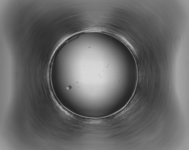 X0000116561484200912171359