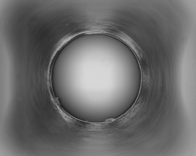 X0000116561485200912171359