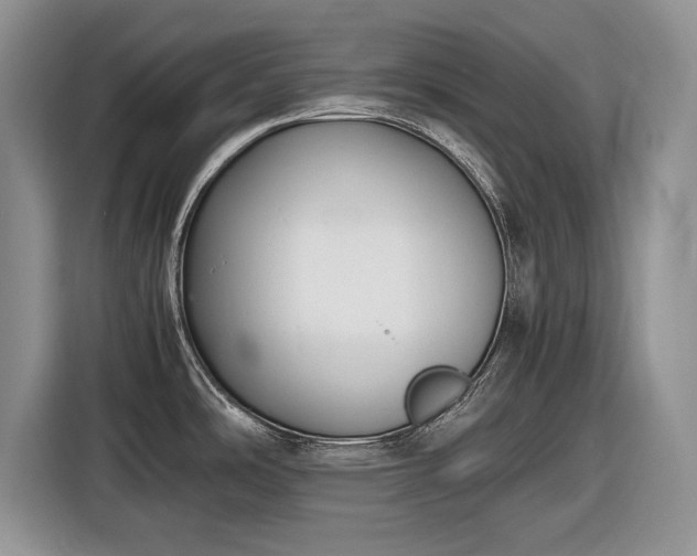 X0000116561486200912171359